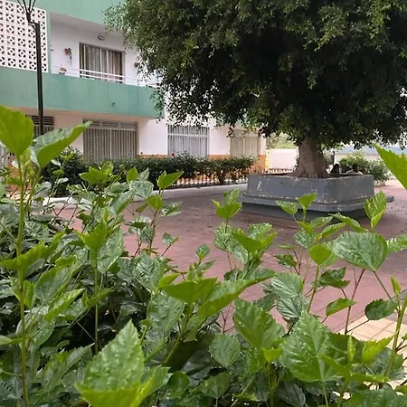 아파트 Detail Rose 푸에르토 드 라 크루즈