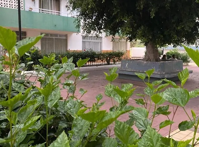 Apartment Detail Rose Puerto de la Cruz (Tenerife)