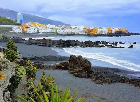 Detail Rose Apartment Puerto de la Cruz (Tenerife)