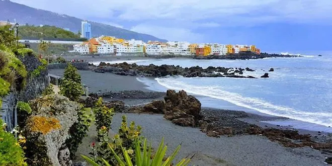 Detail Rose Appartement Puerto de la Cruz (Tenerife)